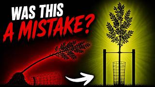I Tried to Save My Trees… This Didn’t Go as Planned