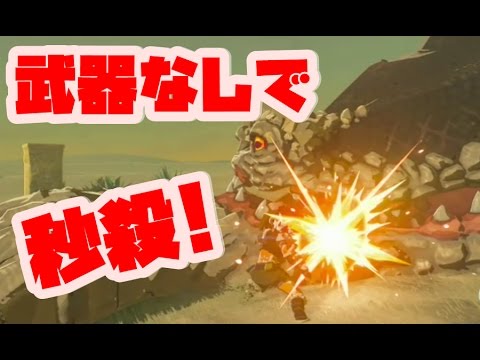 ゼルダの伝説 武器なしで強敵たちを瞬殺していく ボスラッシュ ブレスオブザワイルド Naotin Youtube