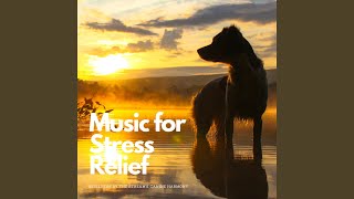 Ensemble for Harmonious Flow