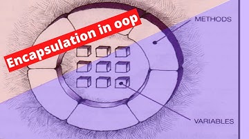 Encapsulation in C++ | Java | Python | Object Model | OOP For Developers