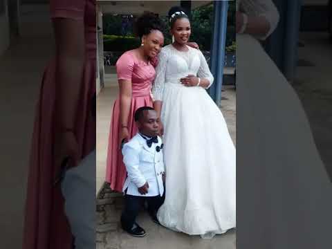 Sasa Yamekuwa MFUPI Ameowa Tizama 