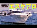 【エスクアロ】人と被りたくないならコレに決まり！おしゃれボートで釣りもクルージングもOK！