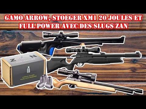 Le plus grand choix de carabine à plombs - Armurerie Auxerre