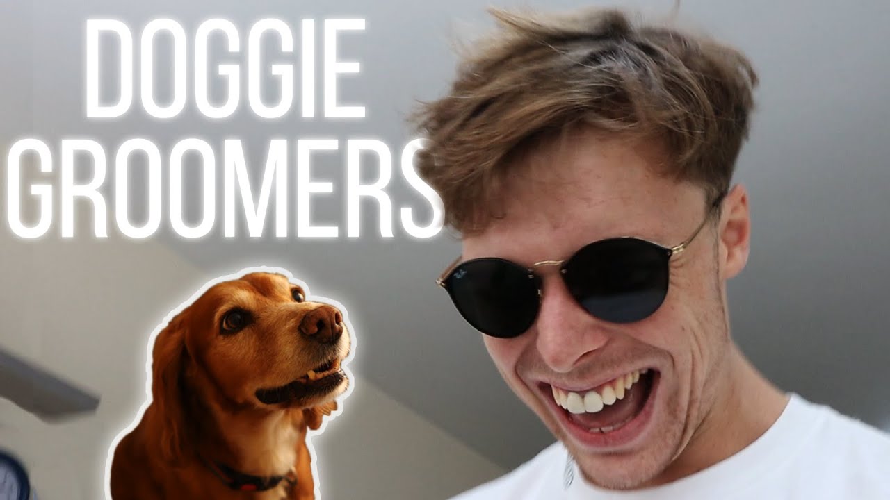 SO WE TOOK OUR DOG TO THE GROOMERS YouTube SO WE TOOK OUR DOG TO THE GROOMERS YouTube