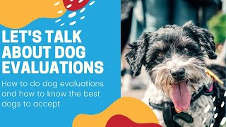Let's Talk About Dog Evaluations | Running a Dog Daycare
