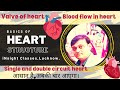 Basics of Heart /Valve/single and double circulation#circulatorysystem ##neetbiology#heart#