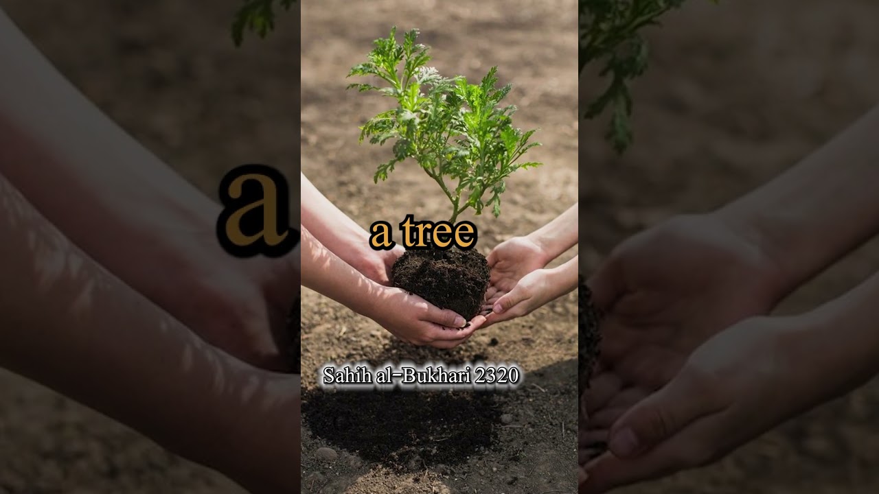 Hadees Planting trees