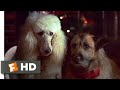 Look Who's Talking Now (1993) - Lady and the Tramp Scene (8/10) | Movieclips