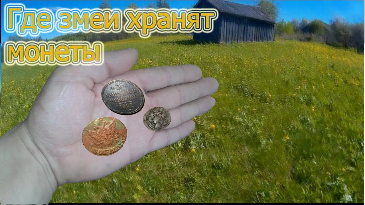 К Змеям За монетами - YouTube