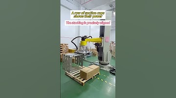 👉 Carton palletizing precisely aligned! 🤯