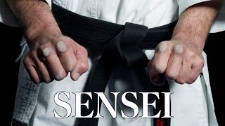 Sensei: Masters of Okinawan Karate - Series One Highlights