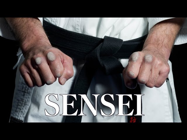 Sensei: Masters of Okinawan Karate - Highlights - SERIES TWO in 2022