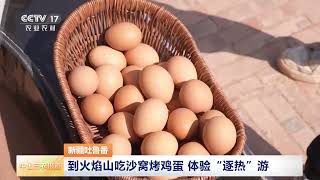 [中国三农报道]新疆吐鲁番 到火焰山吃沙窝烤鸡蛋 体验“逐热”游 | 农业致富经 Agriculture And Farming