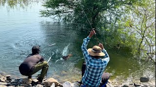 Best float fishing for Rohu fishes || single hook fishing