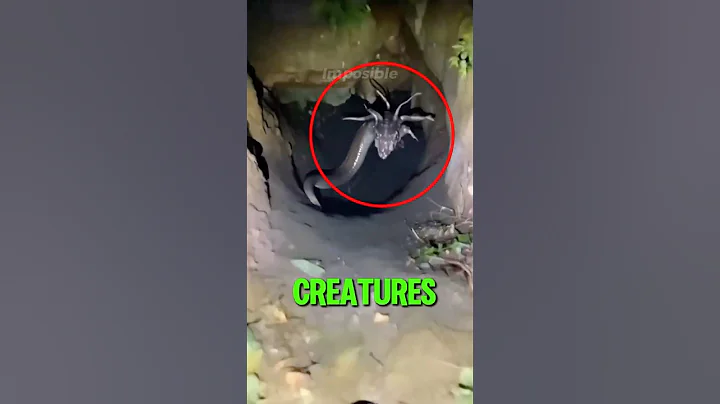 Top 5 Terrifying Mythical Creatures Caught On Camera😱 thumbnail