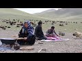 Shepherd mother collecting natural mushrooms and cooking in the nature village life in afghanistan