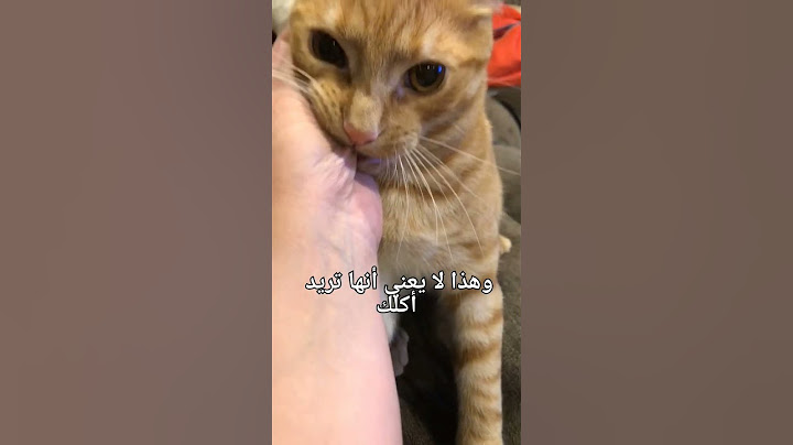 لماذا قطتي تعضني #قطط #حيوانات #حقائق #قطط_صغيرة_كيوت #قطة