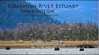 Squamish River Estuary, Skwelwil'em, Atl'ka7tsem/Howe Sound