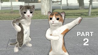 Dancing cats  part 2