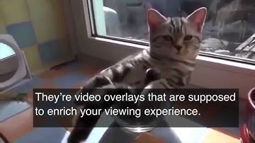 Quickdraw Animation Case Study