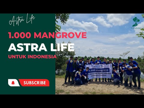 1.000 Mangrove dari Astra Life untuk Indonesia