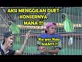 Ramadhan Cap Duet Cucak Ijo Kepala Kuning Menggila Konsernya Mana Semua Mp3 - Mp4 Download