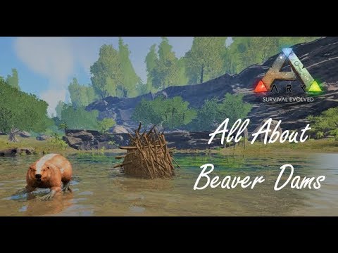 ALL ABOUT BEAVER DAMS | ARK: SURVIVAL EVOLVED - YouTube