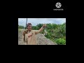 Spot mancing bedukang