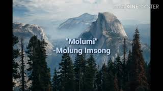 Video thumbnail of "Ao Song - Molumi | Molung Imsong (Lyrics Video)"