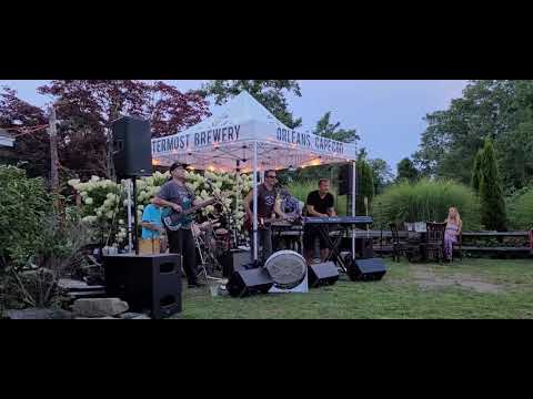 The Samples - Did you ever look so nice - Hog Island Beer Co. August 2020