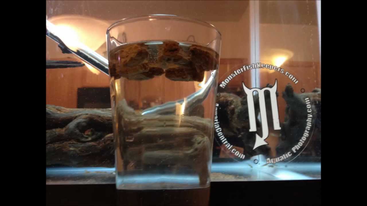 DIY Fish Pellets For the Serious Monster Fish Keeper YouTube