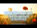 Channeling mai  decembre 2022  phase dintegration et de mise en place  quilibre ancrage