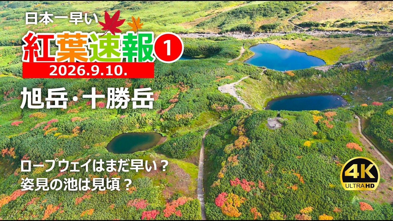 2026 Autumn Foliage Update] Peak Colors at Asahidake & Sugatami