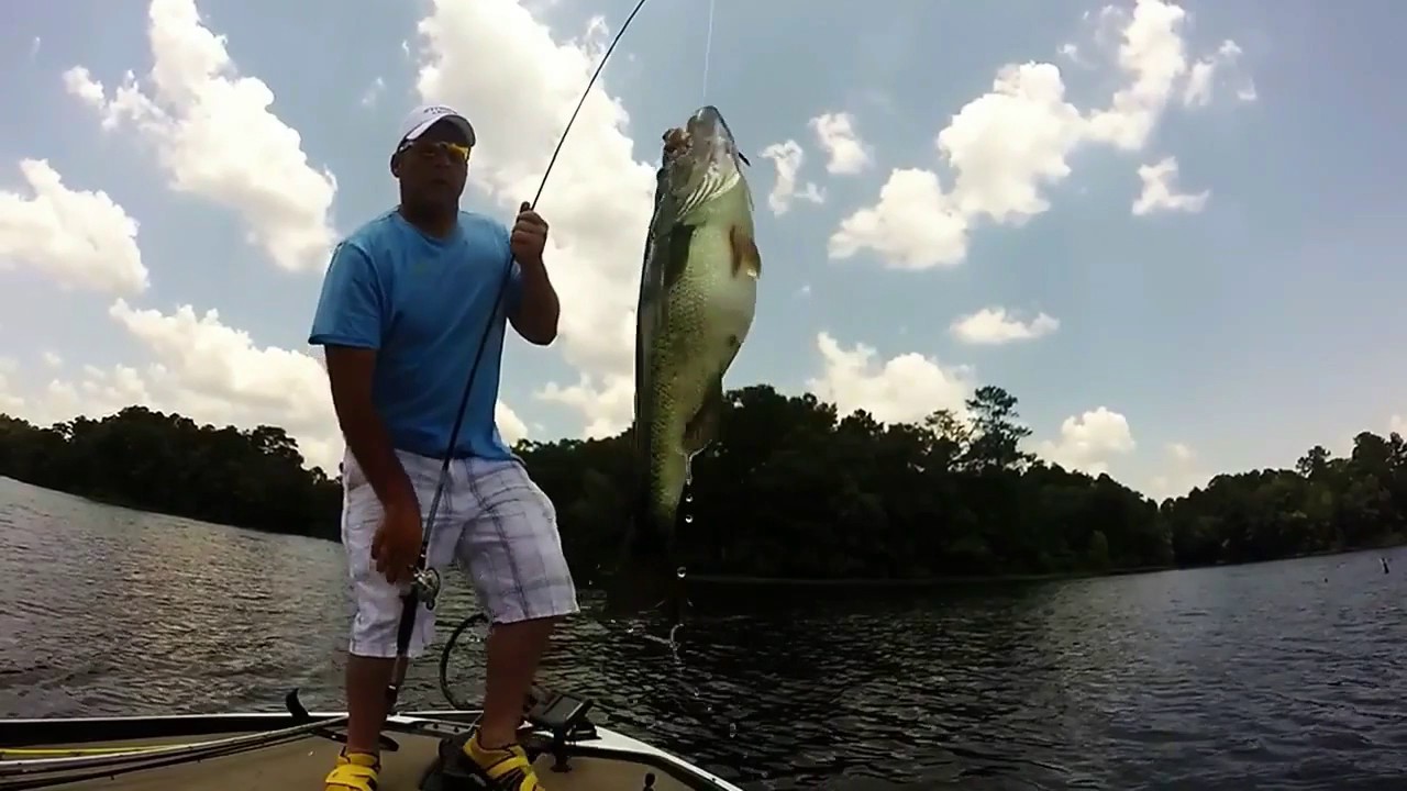 Bass Fishing A Year In Review Uploaded Fishing Coosa River YouTube bass-fishing-a-year-in-review-uploaded-fishing-coosa-river-youtube