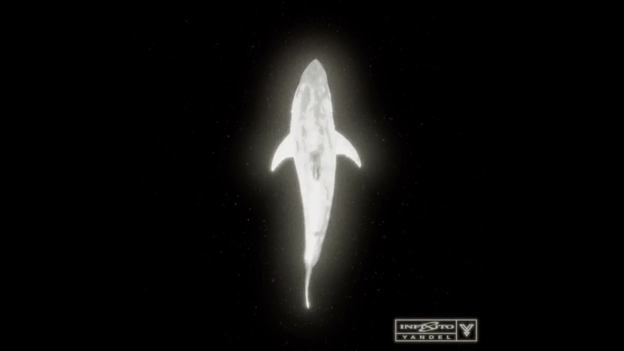 14. Yandel x Kapo - Rondando (2026) (Infinito)