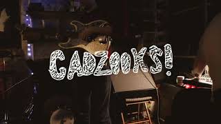 Gadzooks - Flowerhouse Blumenhaus