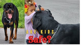 Is It Safe To Let My Kids Play With Our Rottweiler?