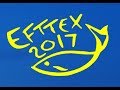 Константин Кузьмин. EFTTEX 2017 - 36-я Международная выставка рыболовного оборудования и технологий.