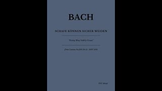 JSBach: Schafe können sicher weiden (Sheep May Safely Graze)