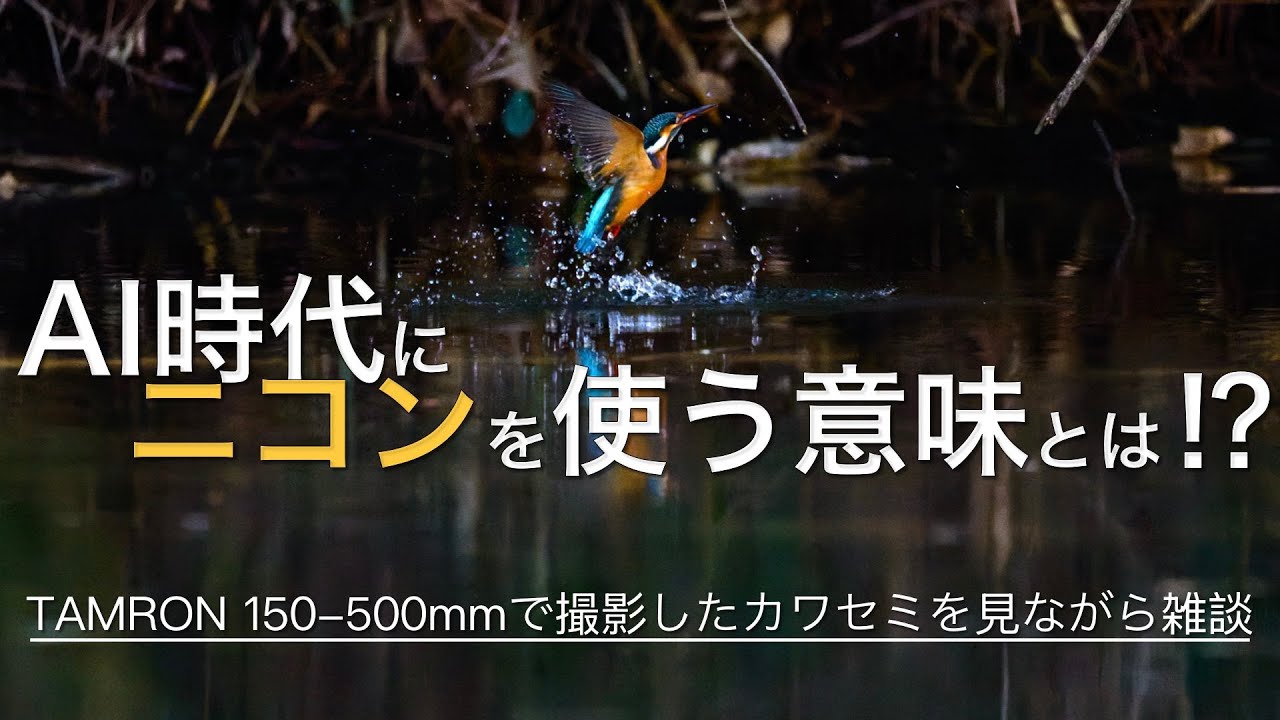 作例多数】Z6IIIで野鳥撮影する理由はなにか？ α7Vと比較しながら雑談
