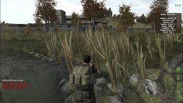 Arma 2 Bug