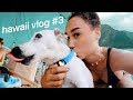 PUPPIES CRASH A BEACH PARTY! VLOGMAS DAY 5 | Vlogtowski