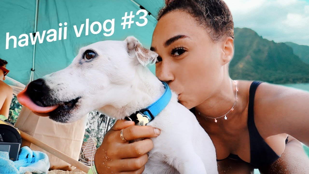 PUPPIES CRASH A BEACH PARTY! VLOGMAS DAY 5 | Vlogtowski