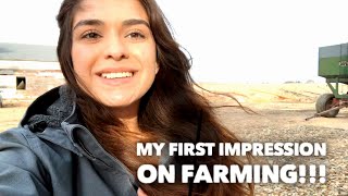 My 1st Farm Experience As A City Girl!