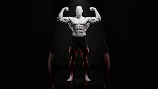 4 Calisthenics Exercises For Perfect Body 30 Day Transformation Challenge