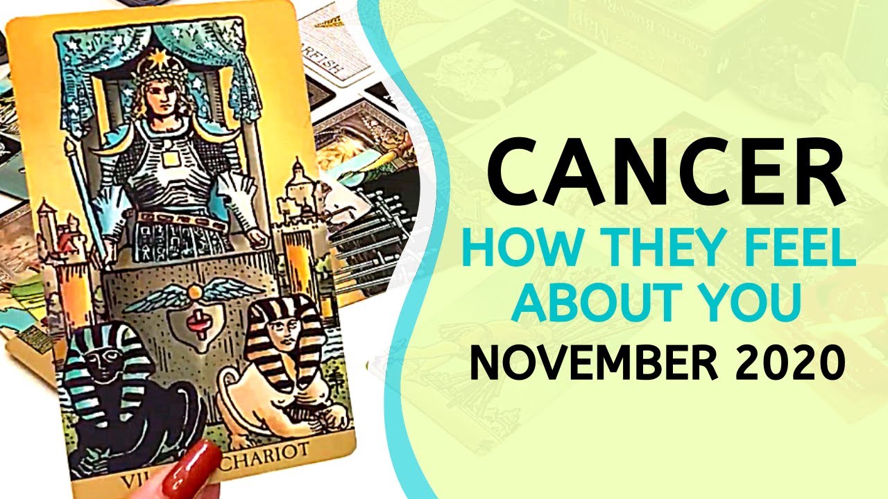 CANCER LOVE ❤️  Passionate Action, There's No Stopping Them ~ How They Feel About You Tarot Nov 2020