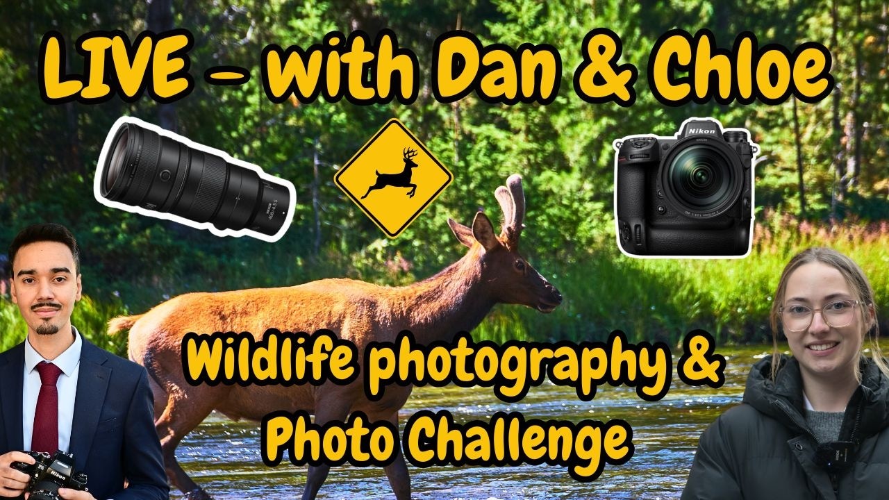 Wildlife photographer of the year and Challenge photo review!