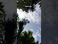 #minivlog nge #dailyvlog #simplelife #bengalivlog #reallife #vlogdiaries #foryou #fyp #viralreels