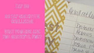 30 Days of Gratitude Challenge - Day 30
