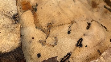 Boost your creativity by trying something new. Dyeing with rusty things.